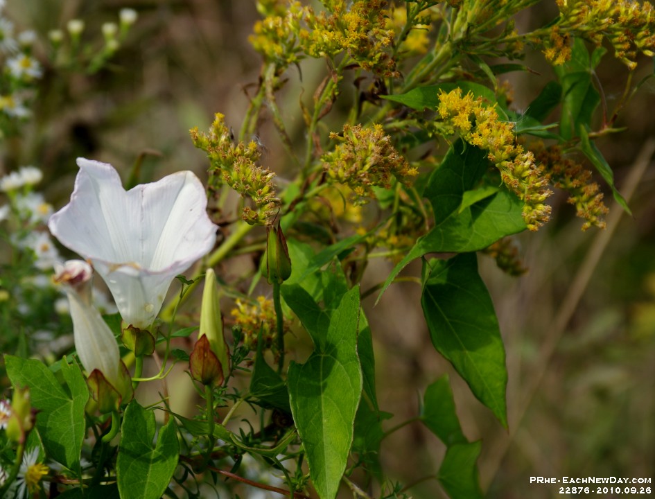 22876CrReLe - Photo Expedition with Julia at Rotary Park - Her Father's Day gift to me
